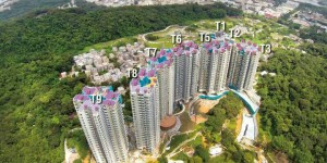 香港岚山3年前165万现成交价338万