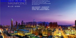 寓228－香港九龙一手现房香港基督教协和小学，圣公会圣多马小学名校旁边
