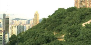 香港港岛区北角陆房产晓峰邻近熙来攘往的英皇道