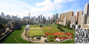 香港蓝塘道别墅招标发售