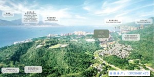香港屯门NAPA先住后付最长840天后付款