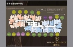 香港屯门「御半山」房价