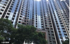 香港九龙何文田房产皓畋34名校网专车接送