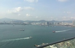 香港娉廷,迎海御峰,维港星岸,维港峰等楼盘本周动向