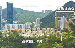 香港超级豪宅Mount Nicholson买家身份曝光