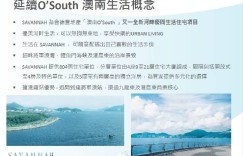 香港将军澳SAVANNAH指定单位送买家印花税