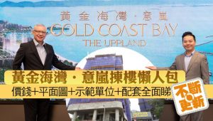 黄金海湾意岚资料