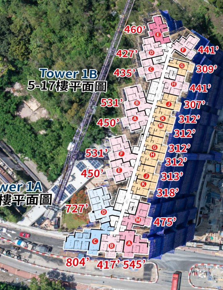 黄金海湾珀岸第一座户型平面图