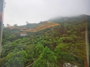 香港九龙塘豪宅缇外实景 (2)