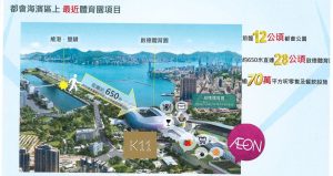 香港启德维港双钻楼盘资料 (7)