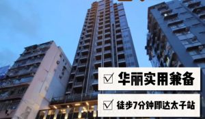 喜扬楼盘外观