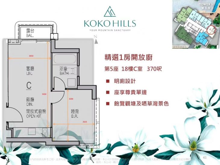 KOKO HILLS户型图3