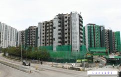 Wetland Seasons Park2外观