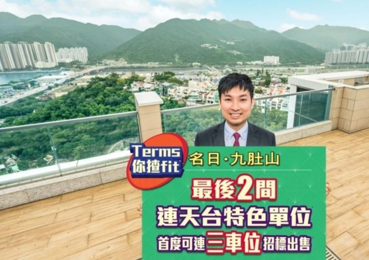 沙田豪宅项名日九肚山