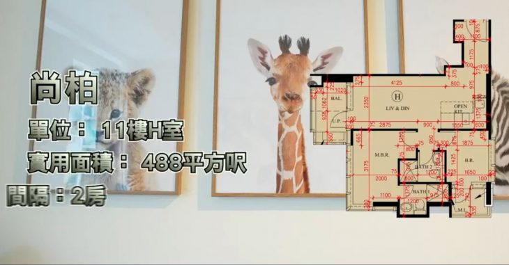 香港尚柏11楼H室示范单位