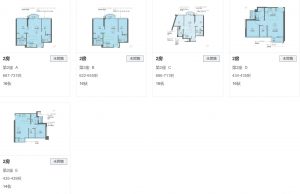 峻誉渣甸山户型图 (3)