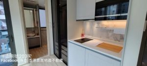 香港半山8号实景 (2)