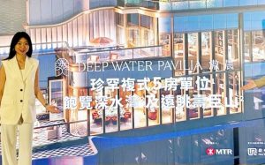 黄竹坑港岛南岸滶晨（deep Water Pavilia）