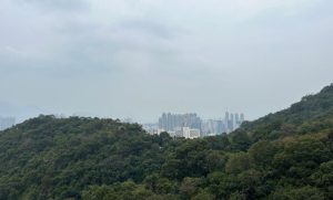 Beacon Peak最新开放现楼单位4