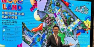 Novo Land 3b期由新鸿基发展