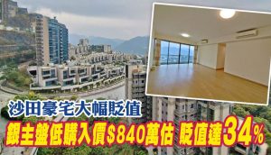 沙田丽坪路玖珑山贬值约34%