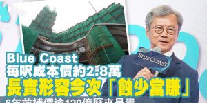 港岛南岸第3B期Blue Coast亏本卖楼