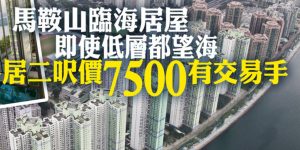 香港马鞍山锦丰苑房价405万