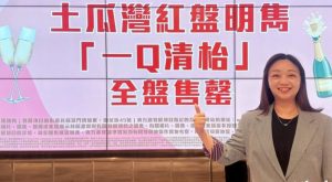 香港新楼盘明隽大手客连扫最后6个单位